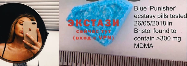шишки Гусиноозёрск