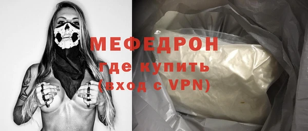 шишки Гусиноозёрск