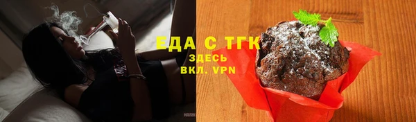 шишки Гусиноозёрск
