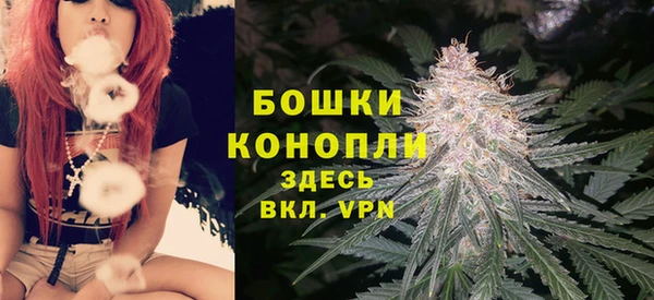 шишки Гусиноозёрск