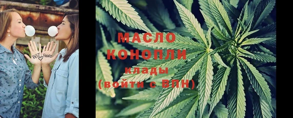 шишки Гусиноозёрск