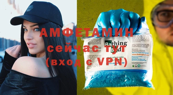 шишки Гусиноозёрск