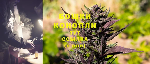 стафф Гусь-Хрустальный