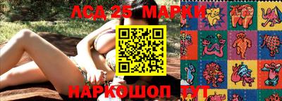 амф Донецк