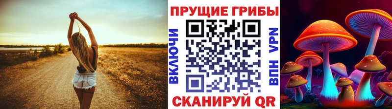 Псилоцибиновые грибы Psilocybine cubensis цена наркотик Ишим