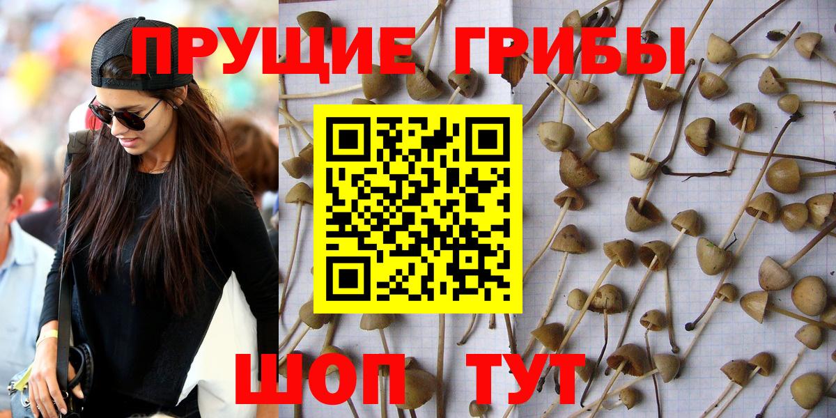 Галлюциногенные грибы мухоморы Ишим