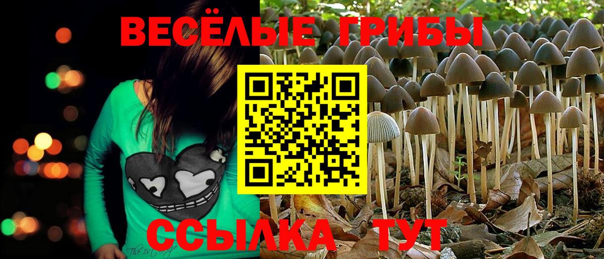 Гашиш  ГАШ  КОКАИН  Codein  Экстази  МАРИХУАНА  Ишим  Вход с VPN  Меф кристаллы 