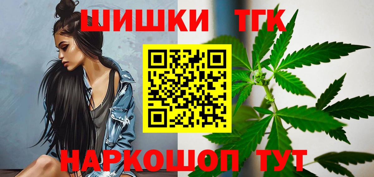 Бошки Шишки план Ишим